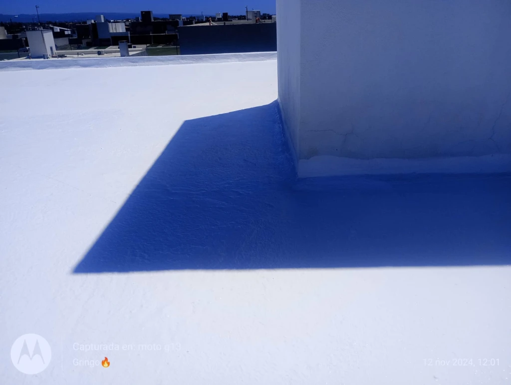IMG-20241210-WA0029.webp