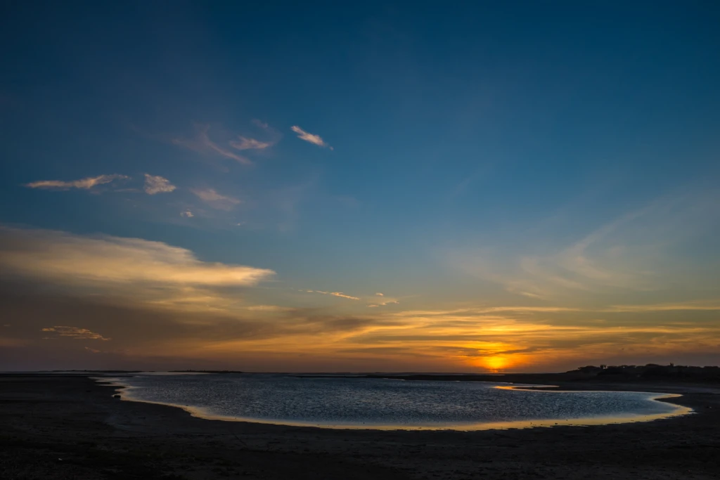 AliGabriel-42.webp