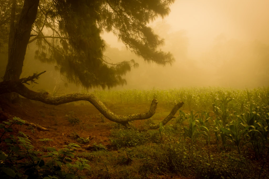 Paisajes-22.webp