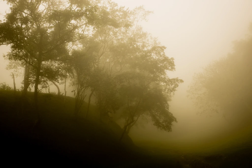 Paisajes-23.webp