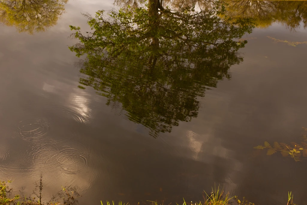 Reflejos-1.webp