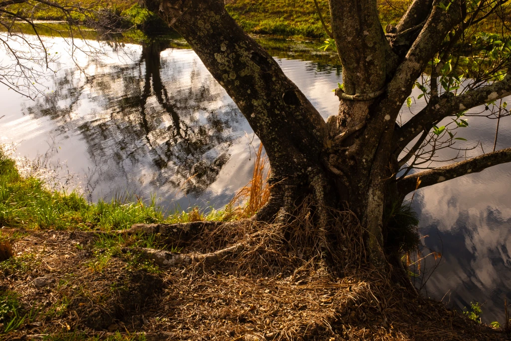 Reflejos-3.webp