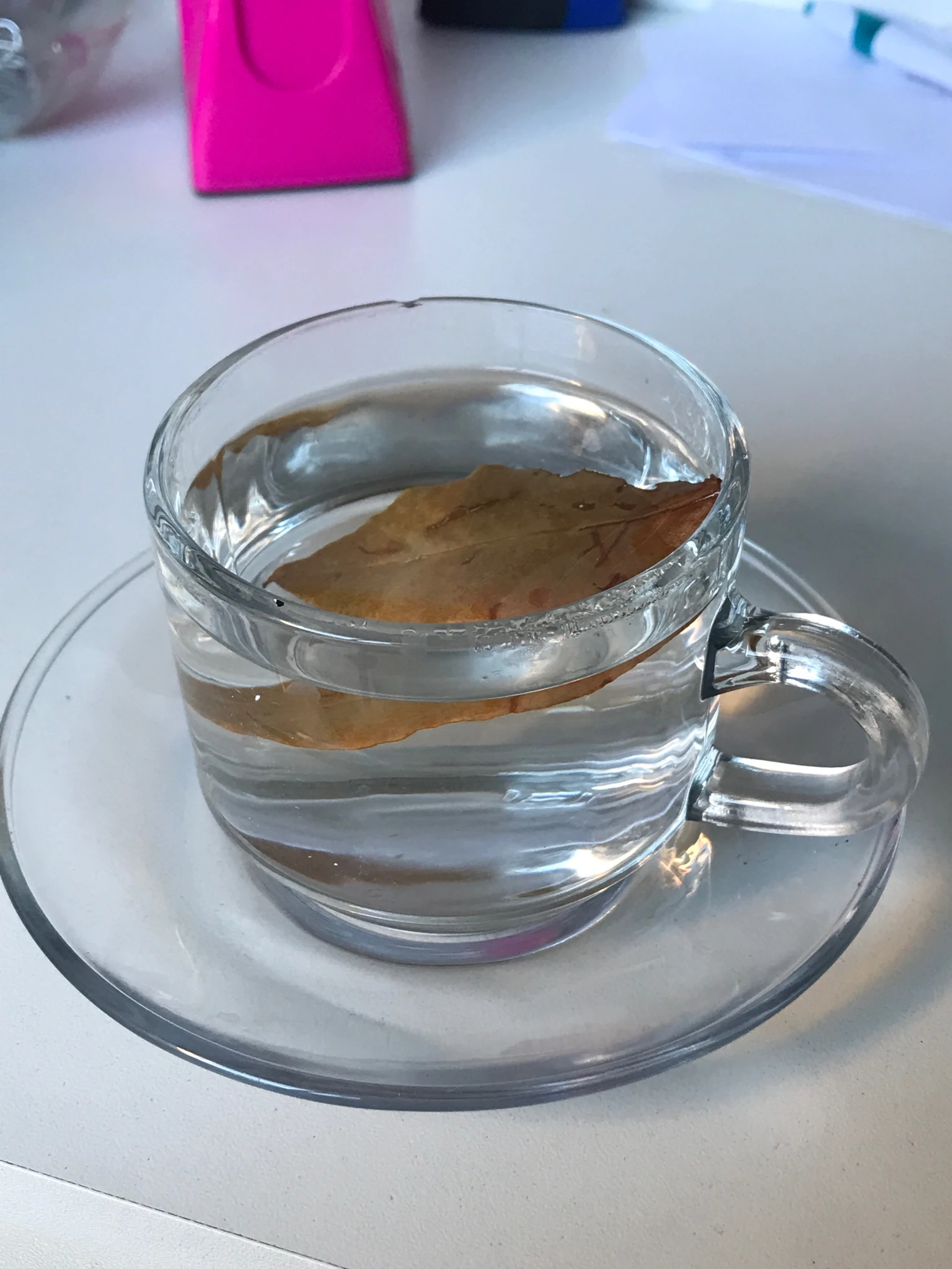 Té de Laurel