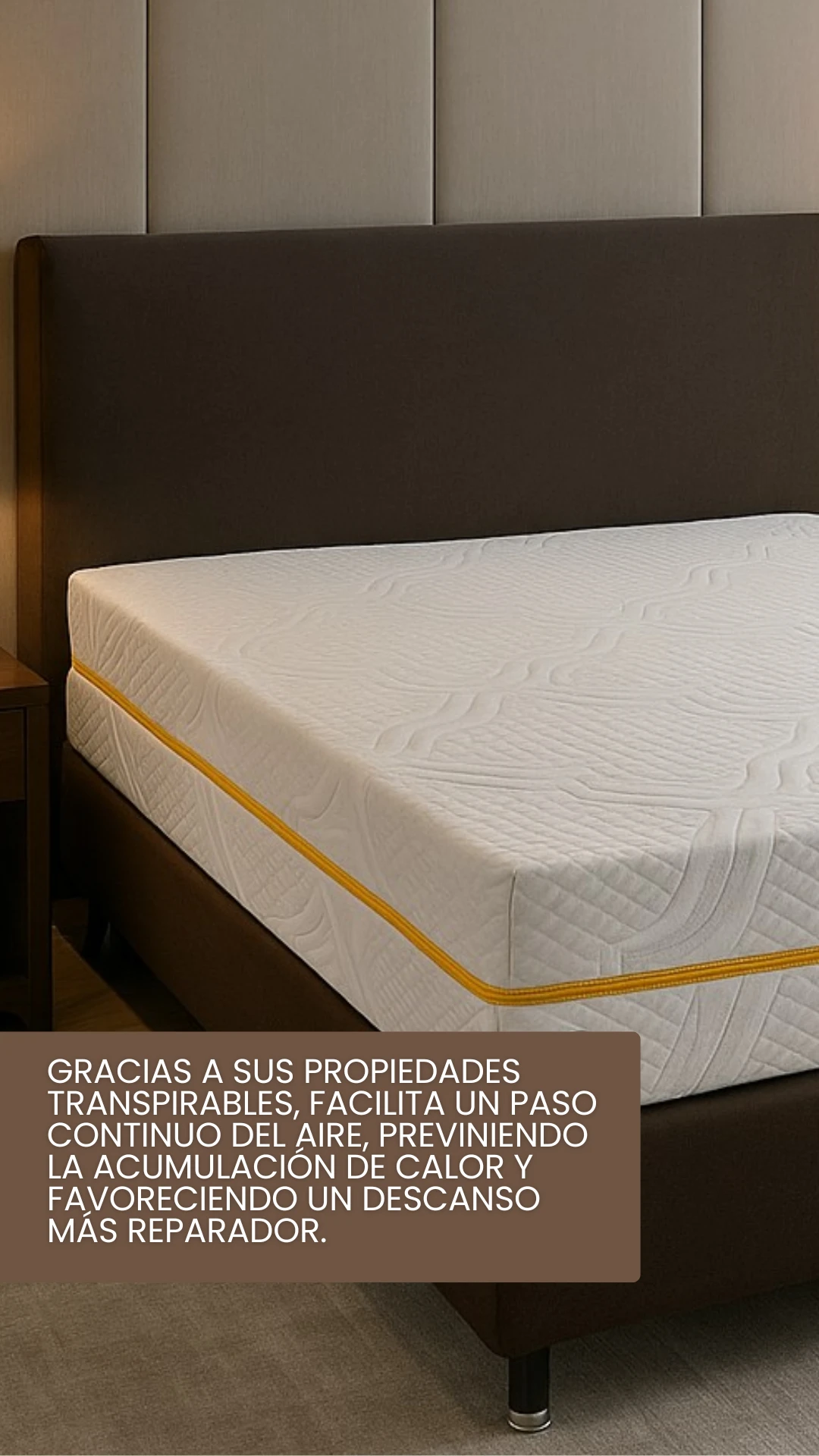 36-(8766).webp