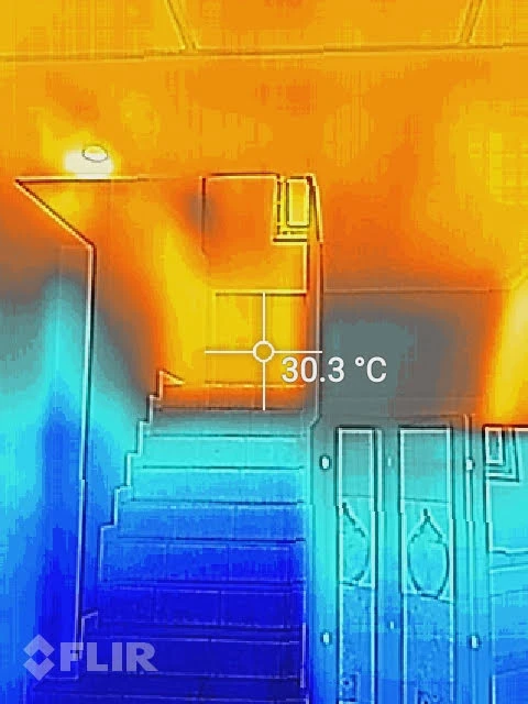 flir20200118T122708-(7299).webp