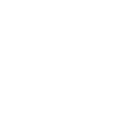EnCamino