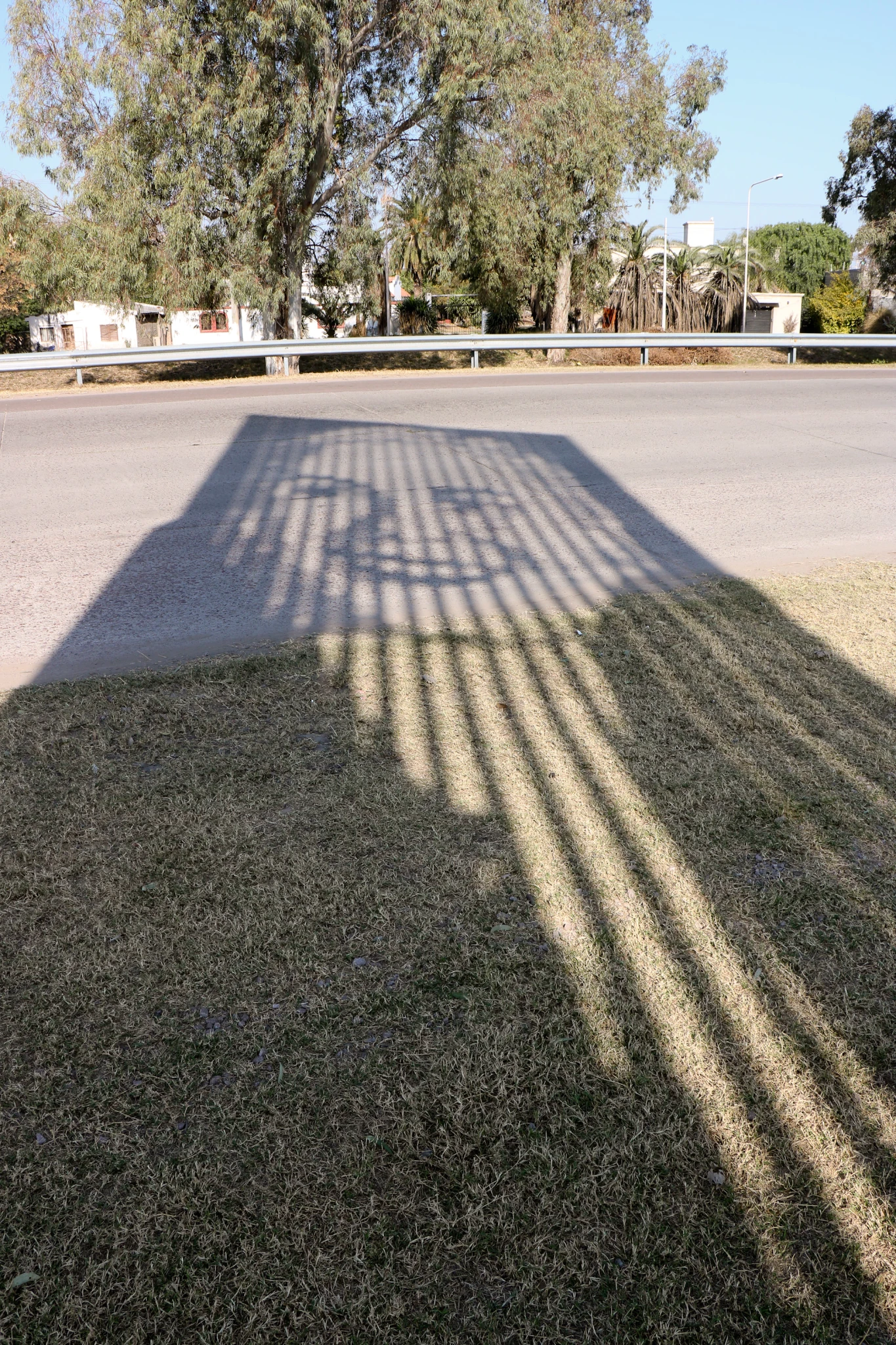IMG3244.webp