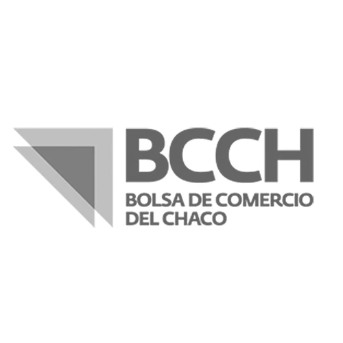 Bolsa.webp