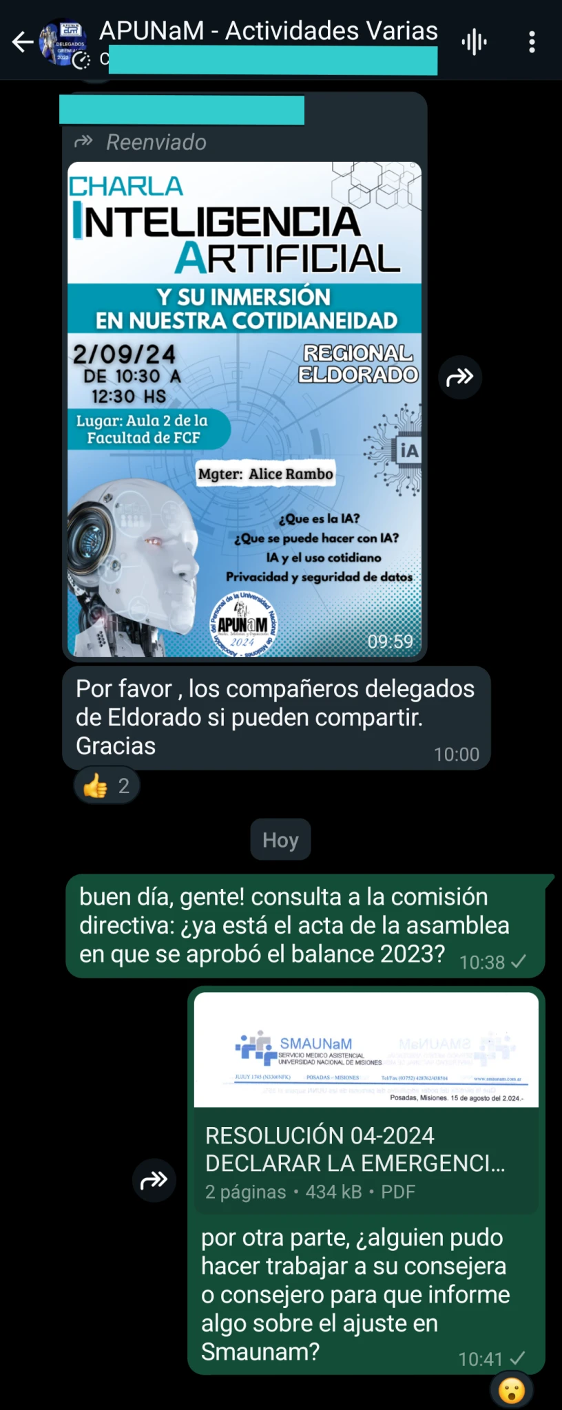 Chat Cuerpo de Delegados y CD Apunam