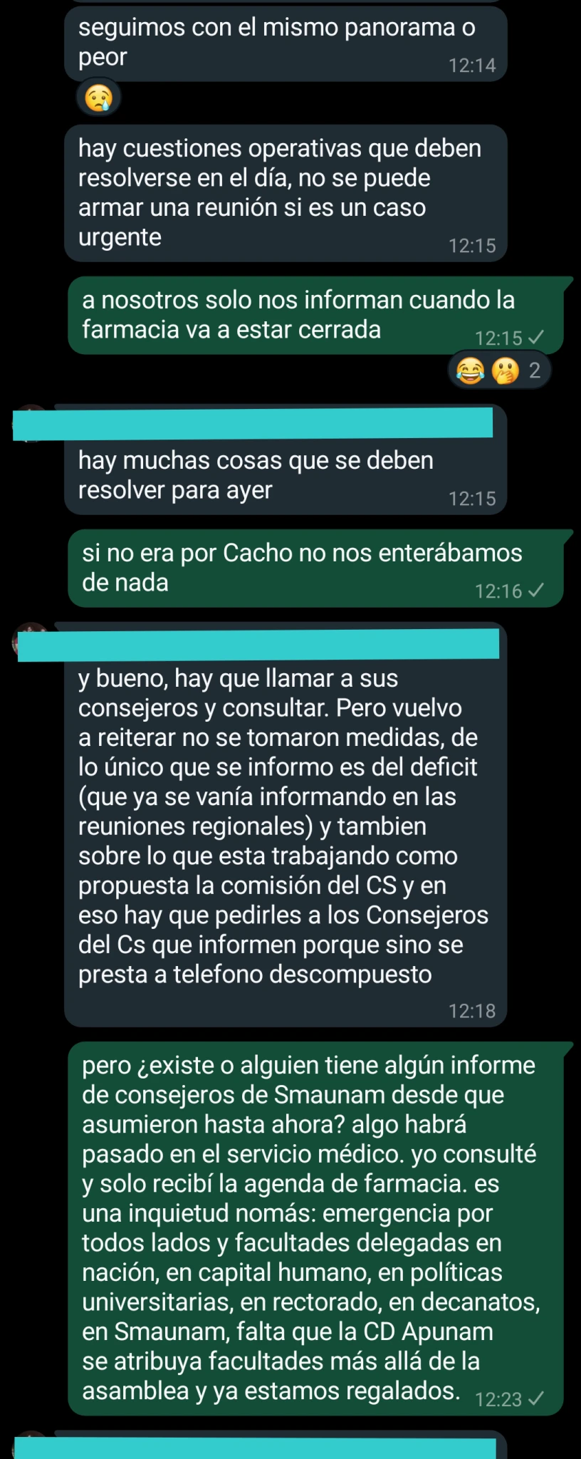 Chat Cuerpo de Delegados y CD Apunam