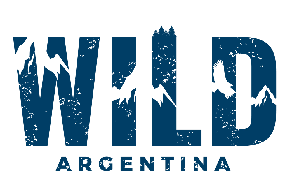 LogoWildAzul.webp