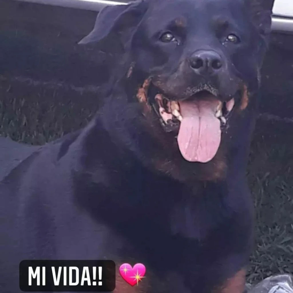 Perla