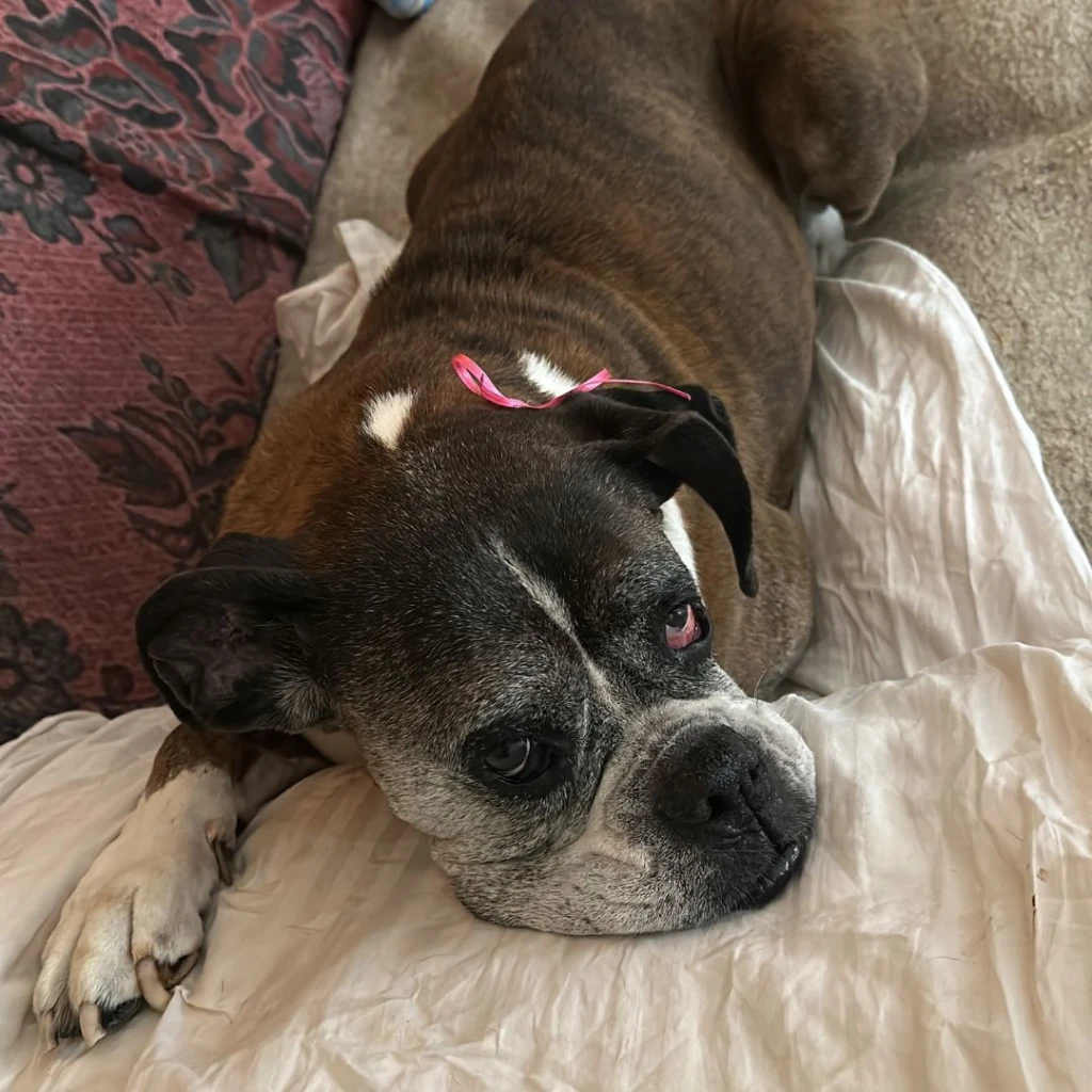 Mia