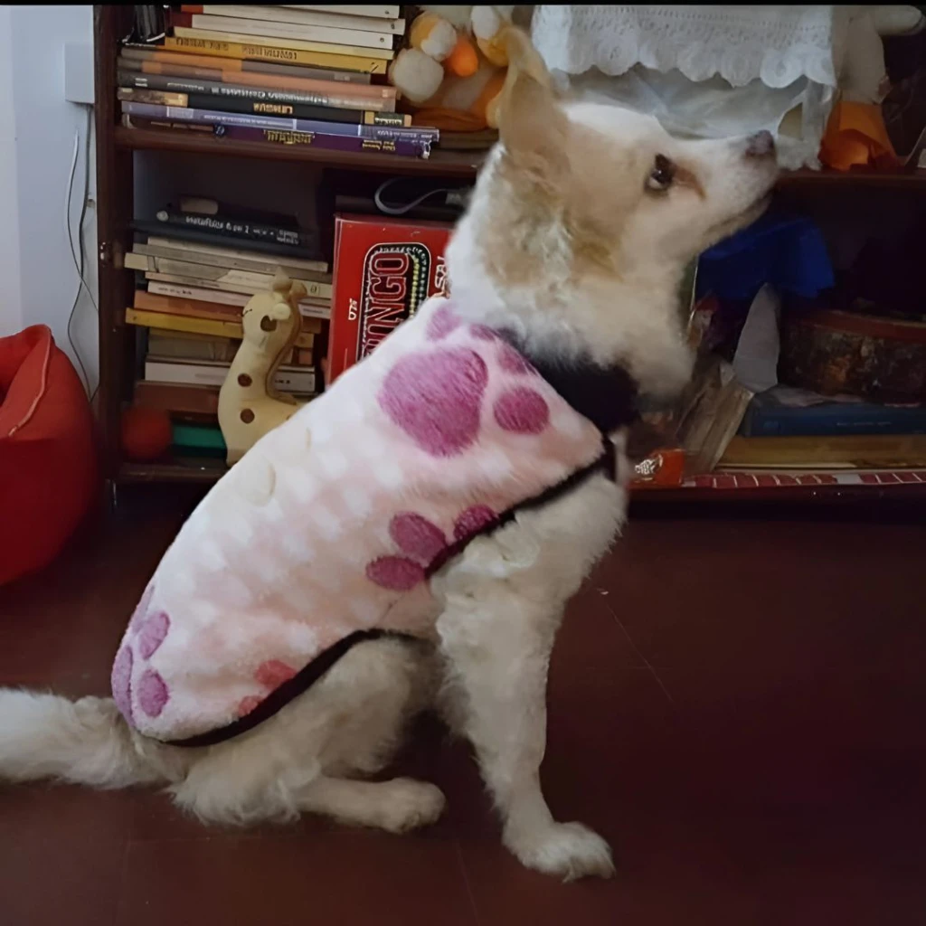 Perla