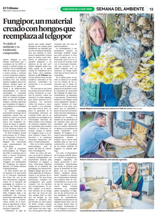 El-Tribuno-fungipor-1-pdf-Google-Drive-07-14-20250354PM.webp