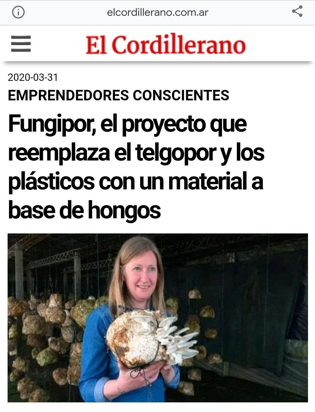 descarga-2025-07-14T155148.webp