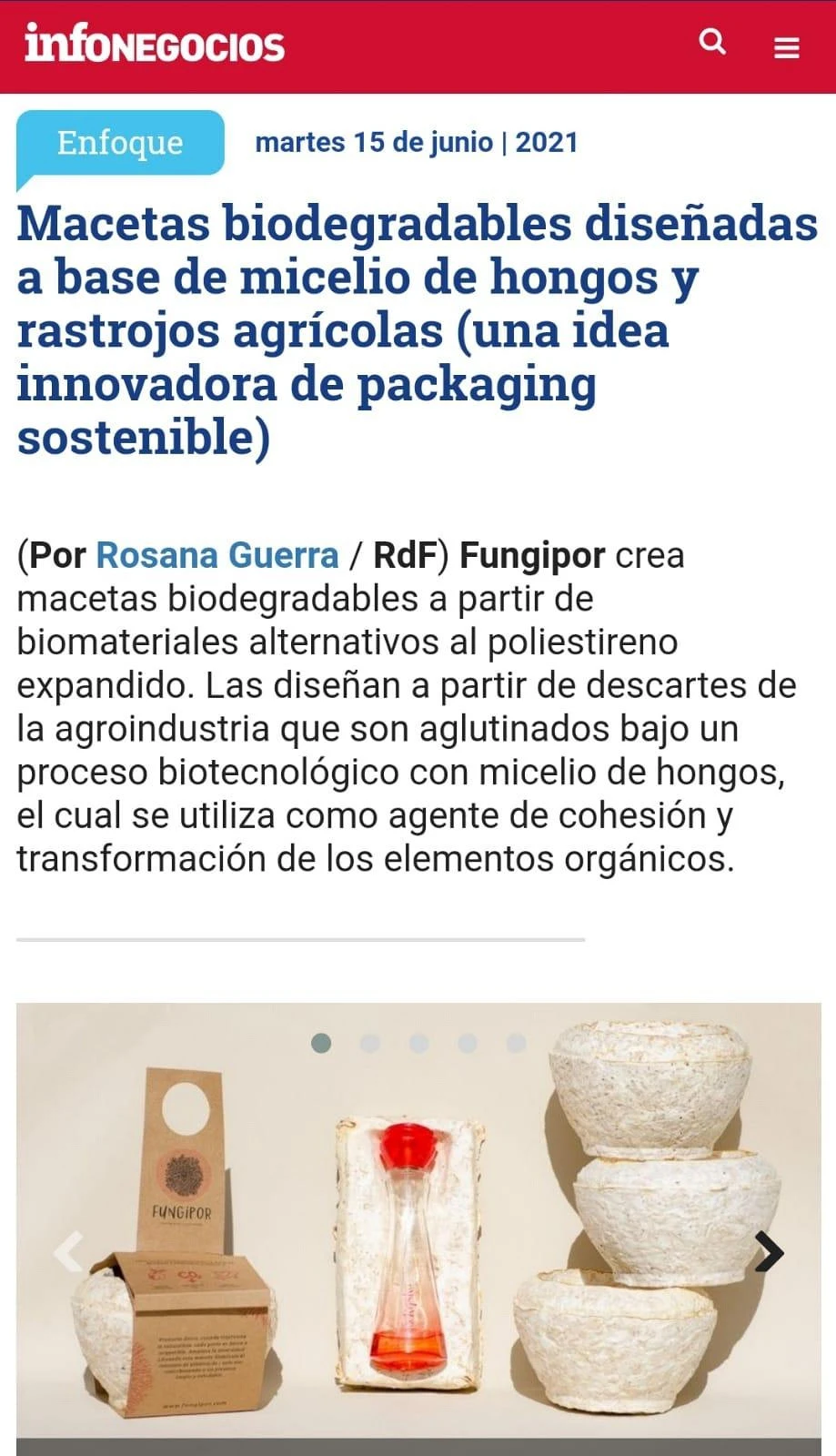 descarga-2025-07-14T155151.webp