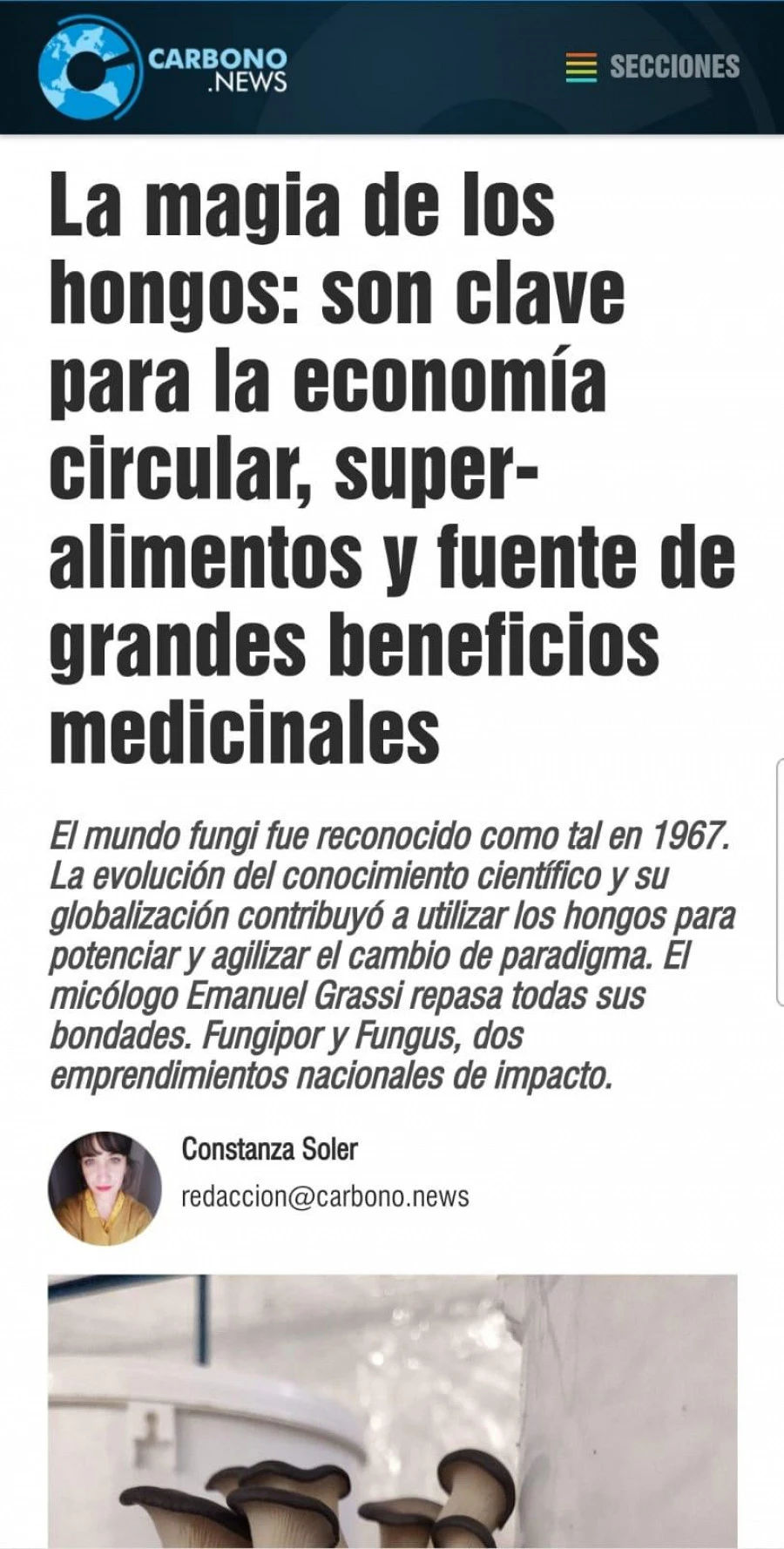 descarga-2025-07-14T155219.webp