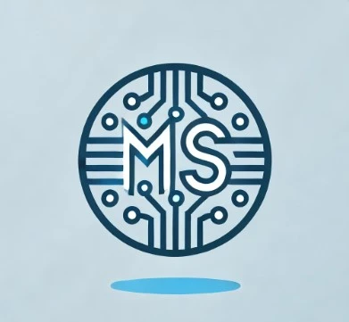 MS Diseño web